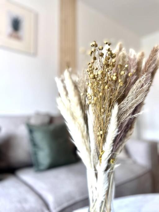 L'Instant Present - Calme & Elegant Proche Gare Apartment Roanne Bagian luar foto