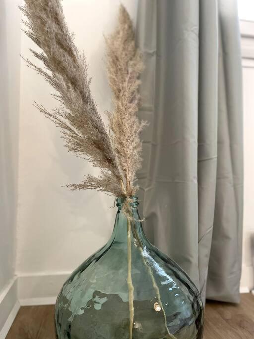 L'Instant Present - Calme & Elegant Proche Gare Apartment Roanne Bagian luar foto